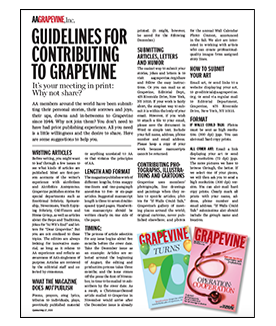 GV Guidelines Img